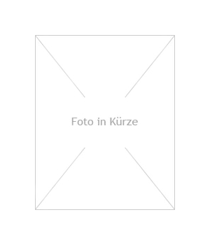 Gartenbrunnen Granitkugel 30 LED